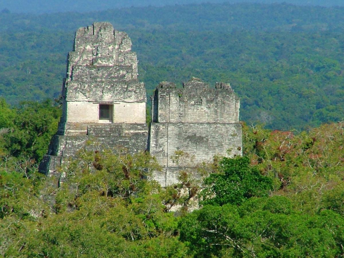 Villa Maya Flores Exterior photo
